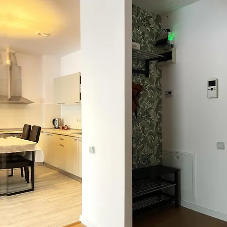 Luxury Tampa Bv * 브라쇼브