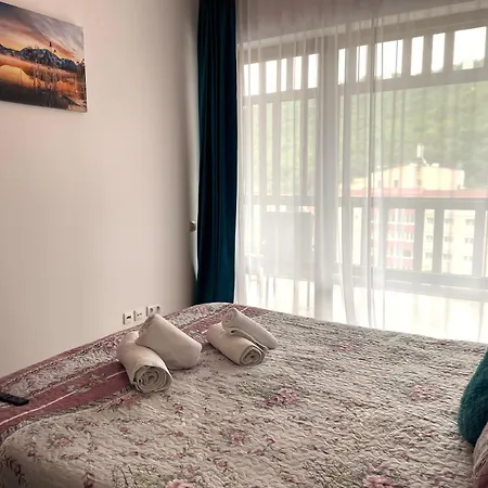 Apartment Luxury Tampa Bv