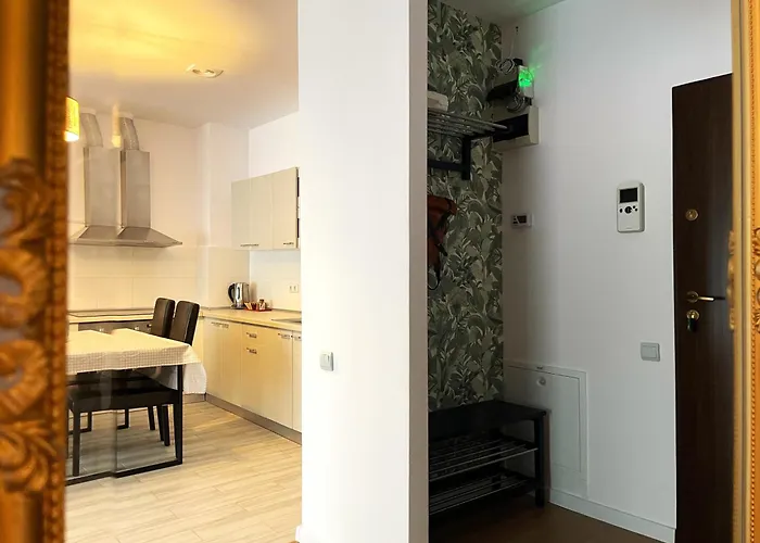 Luxury Tampa Bv * Brassó